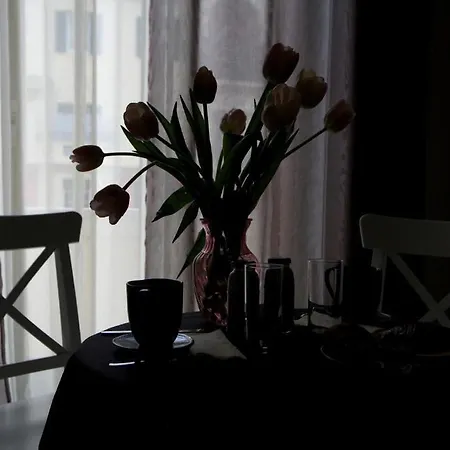 Bed & Breakfast La Casa In Prati